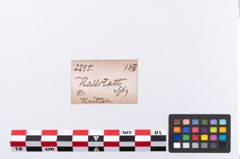 Etikett zu Beinmessergriffplatte (NHMW-PRAE-002295)